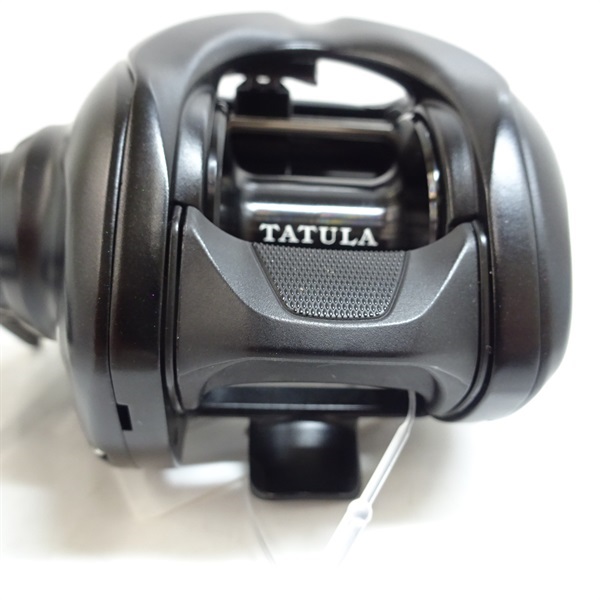 ２４タトゥーラＴＷ１００ＸＨＬ